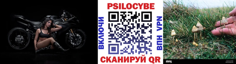 цены наркотик  Спасск  Галлюциногенные грибы MAGIC MUSHROOMS 